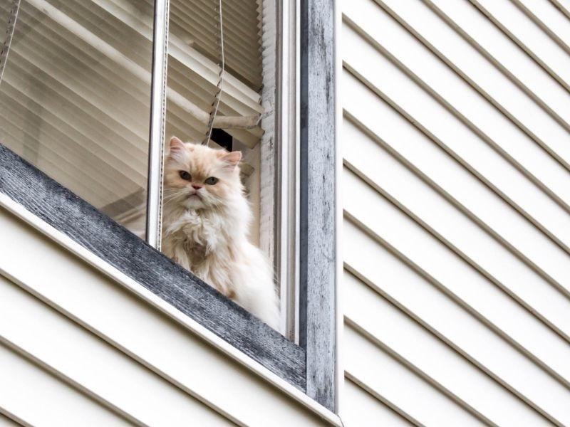 Telas de proteção para crianças em Rio de Janeiro