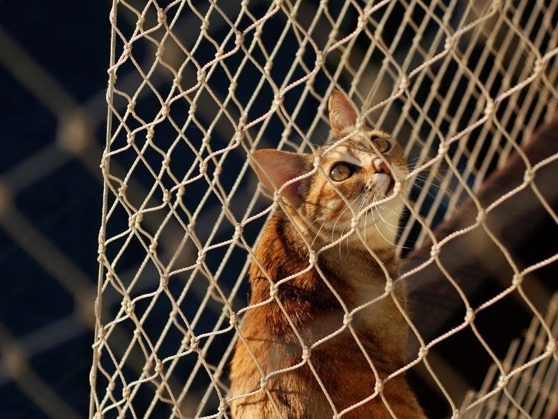 Tela de segurança de alta resistência em Itaguaí