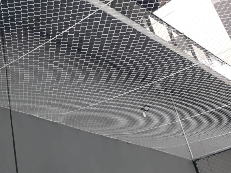 Proteja animais com rede protetora em Rio de Janeiro