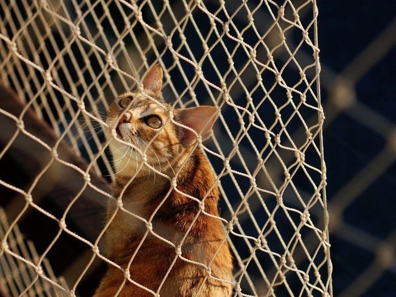 Rede de proteção para sua casa em Itaboraí