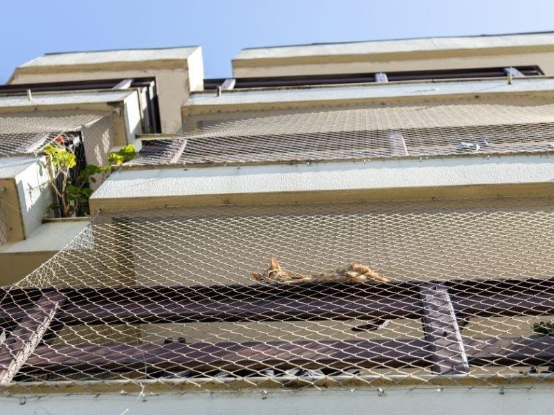 Proteja sua família com rede protetora em Cordovil, Rio de Janeiro